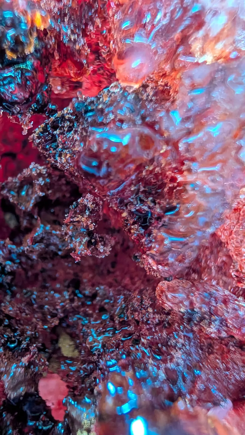 a close photographic study of luminous red and cyan material